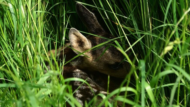 Waar doe ik het voor?