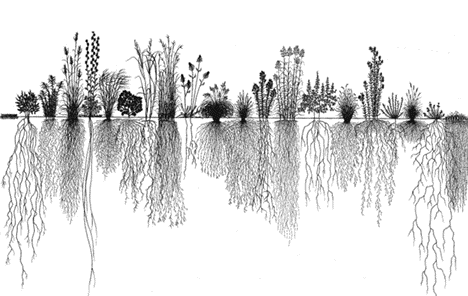 Spreek de taal van de doelgroep